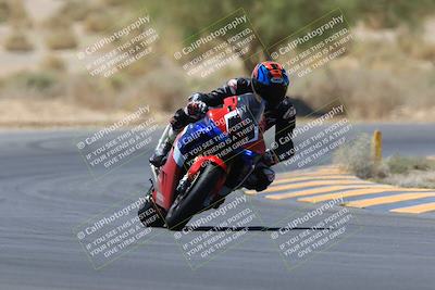 media/May-14-2023-SoCal Trackdays (Sun) [[024eb53b40]]/Turn 5 Tree of Life (1125am)/